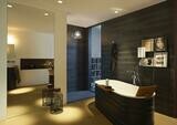 AXOR LampShower/Nendo LampShower 275 1jet avec bras de douche