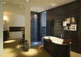 AXOR LampShower/Nendo LampShower 275 1jet avec bras de douche