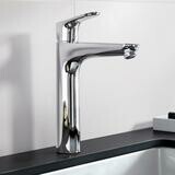 Focus Mitigeur de lavabo 190, avec tirette et vidage