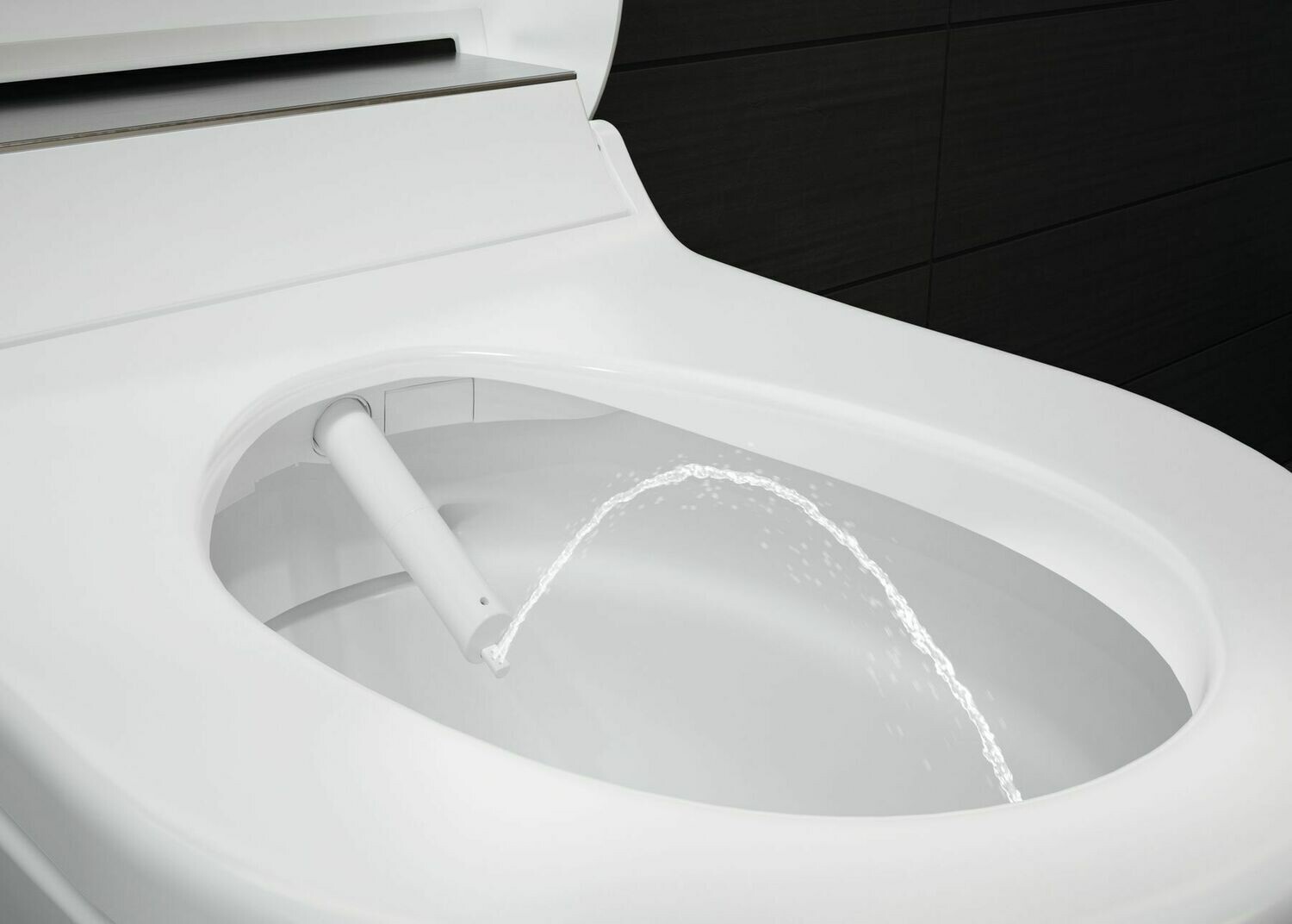Abattant lavant Geberit AquaClean Tuma Classic — vue 4