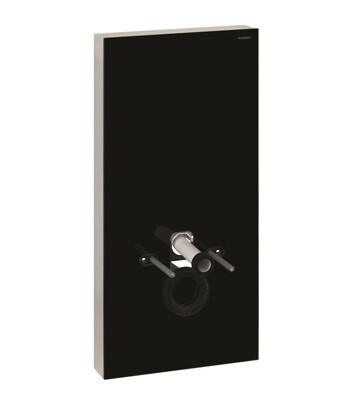 Panneau sanitaire Geberit Monolith PLUS pour WC suspendu / Verre noir