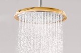 Raindance Classic Douche de tête 240 1jet avec bras de douche