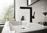 Finoris Mitigeur de lavabo 230 avec douchette extractible 2jet, bonde clic-clac