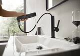 Finoris Mitigeur de lavabo 230 avec douchette extractible 2jet, bonde clic-clac