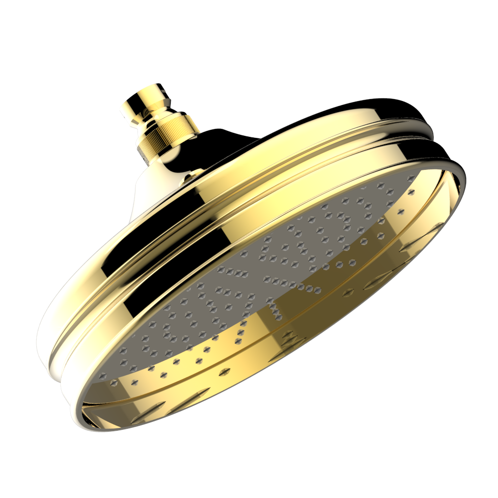 Douche de tête THG ronde 220 mm Easyclean - Collection "1900" — vue 3