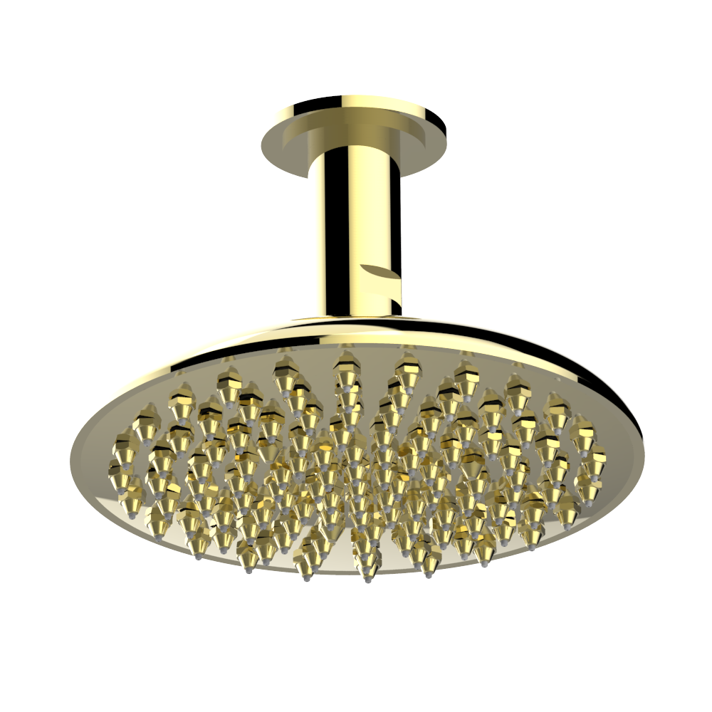 Douche de tête THG 260 Easyclean avec raccord au plafond - Collection "Infini porcelaine blanche"