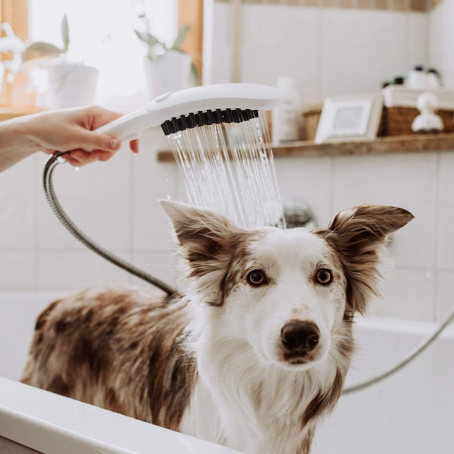 Douchette à main pour chien Hansgrohe 150 3 jets en blanc mat — vue 4
