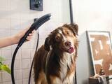 DogShower Douchette pour chien 150 3jet avec buses massantes