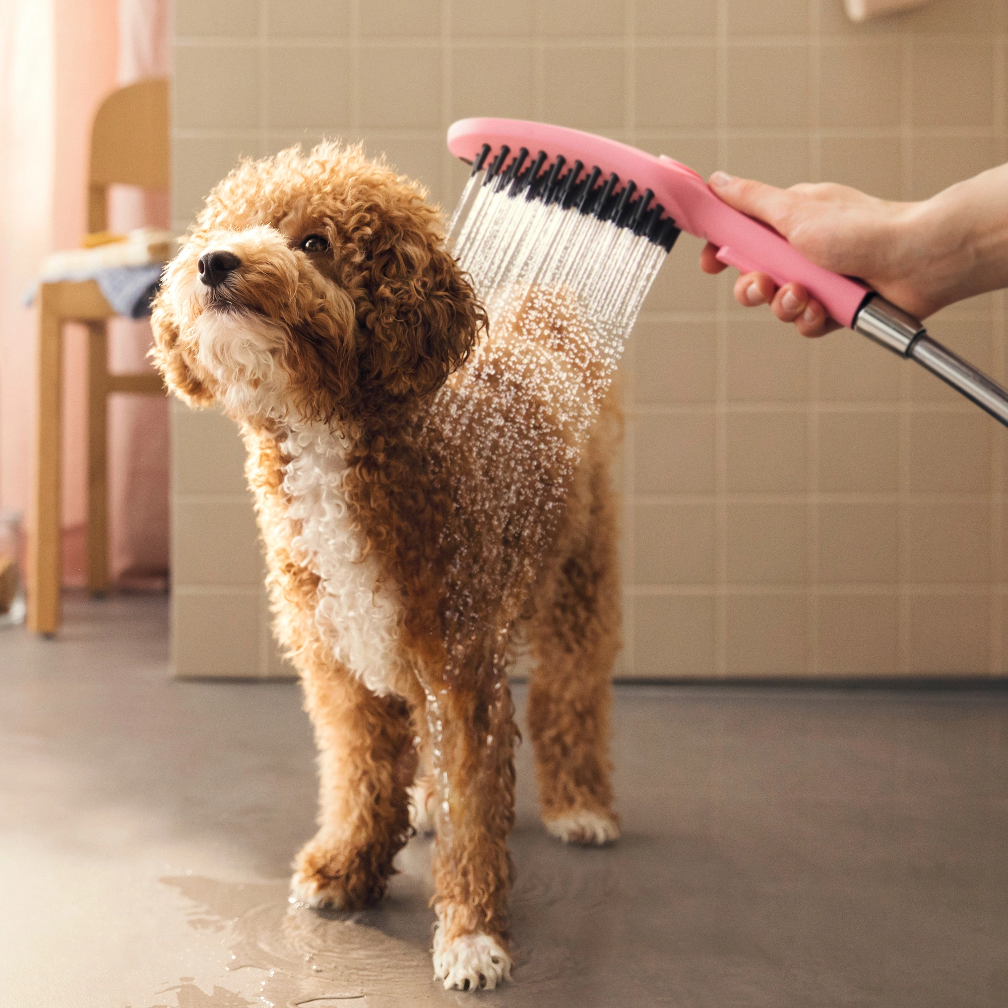 Douchette à main pour chien Hansgrohe 150 3 jets en rose - vue 7