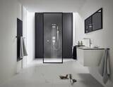 Pulsify S Douche de tête 260 2jet avec raccord mural