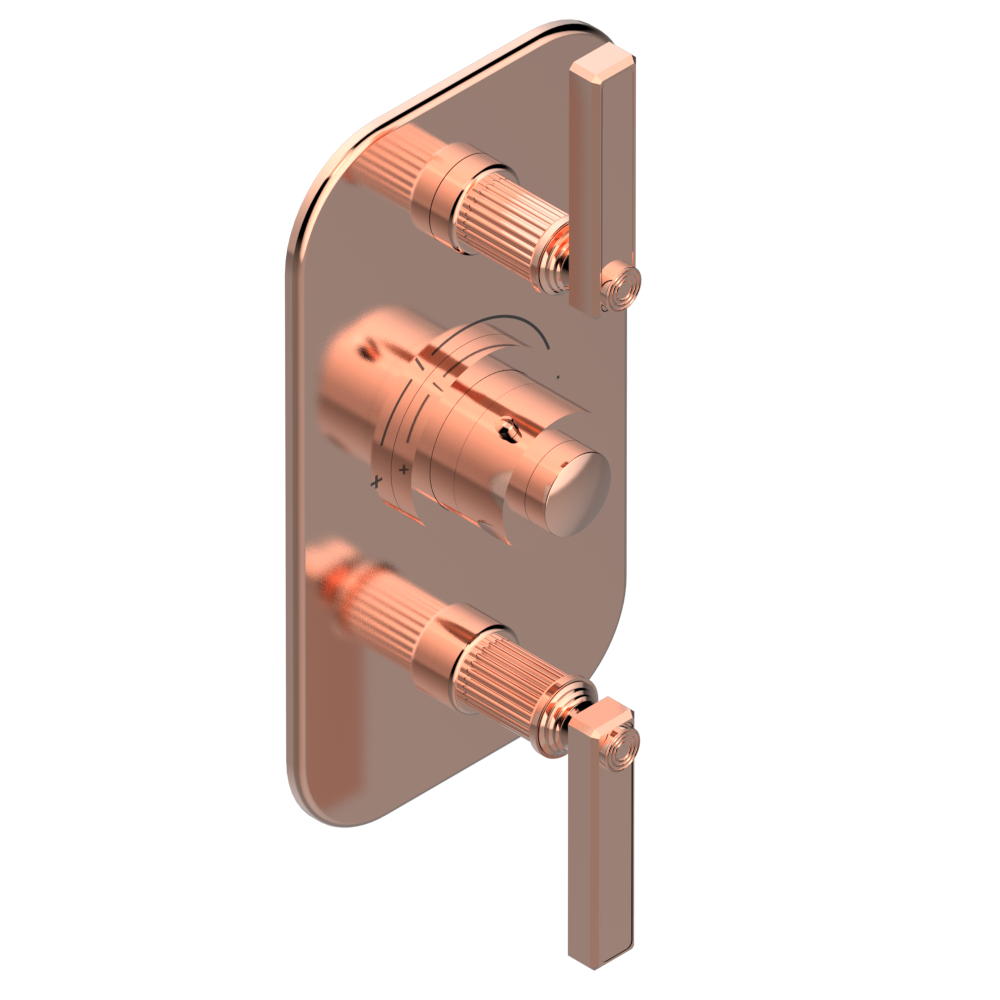 Set de finition THG pour douche thermostatique à encastrer avec deux robinets d'arrêt pour installation verticales à 2 fonctions - Collection "Grand Central" — vue 4