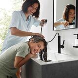 Finoris Mitigeur de lavabo 230 avec douchette extractible 2jet, bonde clic-clac