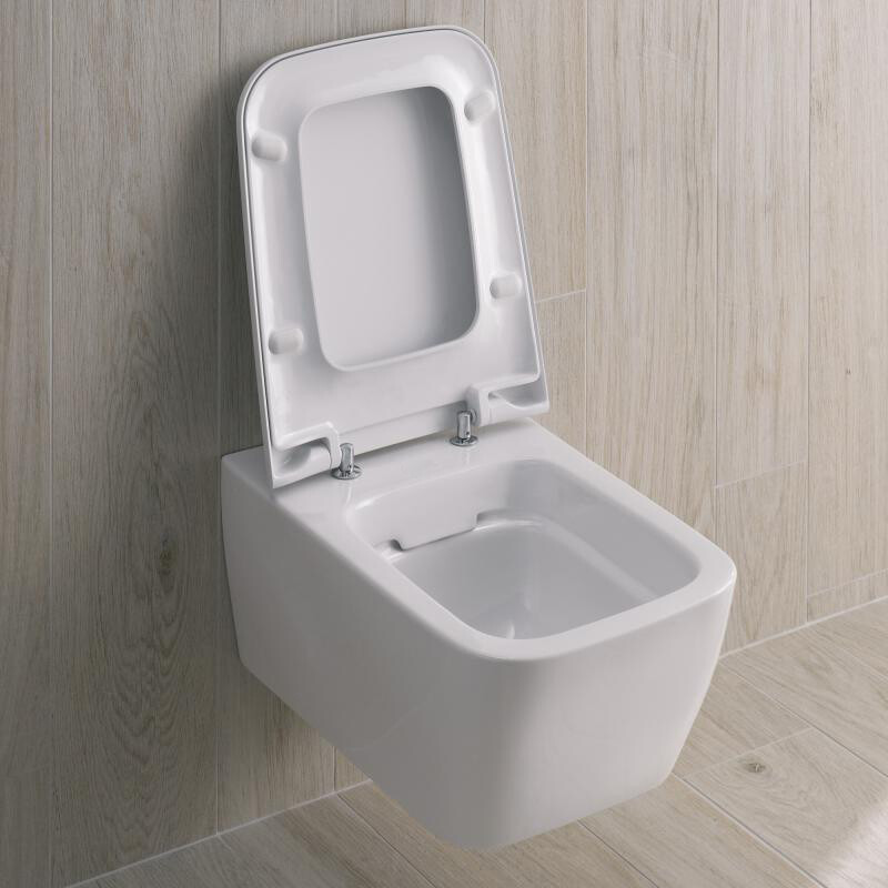 WC en Tunisie - l'alliance parfaite du confort et de l'hygiène dans votre salle de bain