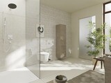 Pulsify S Douche de tête 260 1jet EcoSmart