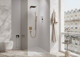 Pulsify E Douchette bâton 100 1 jet EcoSmart