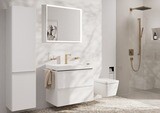 Pulsify E Douchette bâton 100 1 jet EcoSmart