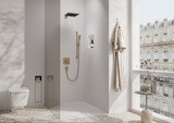 Pulsify E Douchette bâton 100 1 jet EcoSmart