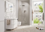 Pulsify E Douchette bâton 100 1 jet EcoSmart