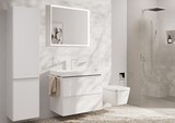Pulsify E Douche de tête 260 1jet EcoSmart