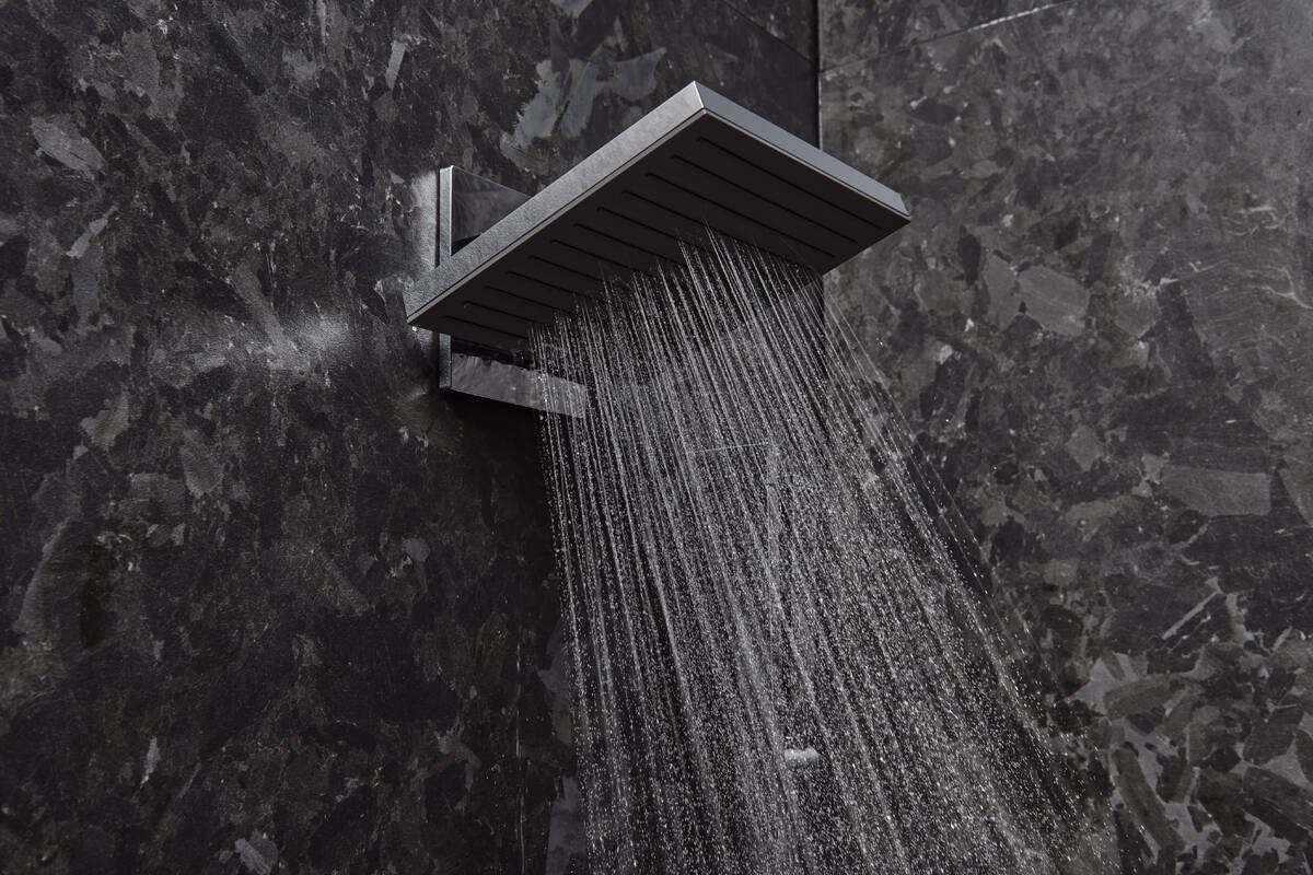 Douche de tête Hansgrohe Pulsify E 260 2 jets avec raccord mural - vue 2
