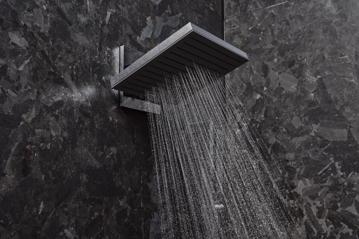Douche de tête Hansgrohe Pulsify E 260 2 jets avec raccord mural — vue 2