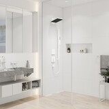 Pulsify E Douche de tête 260 2jet avec raccord mural