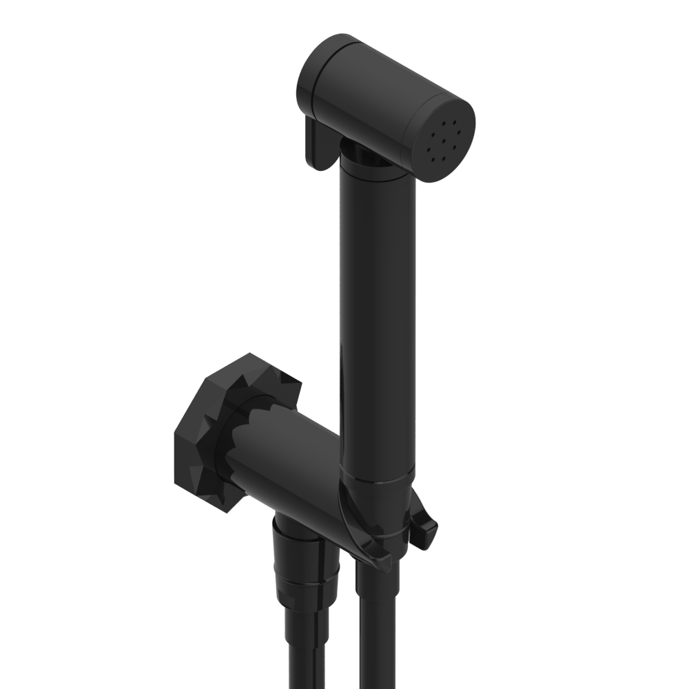 Douchette de bidet portable à finition noire mate avec tuyau métallique et support mural inclus.