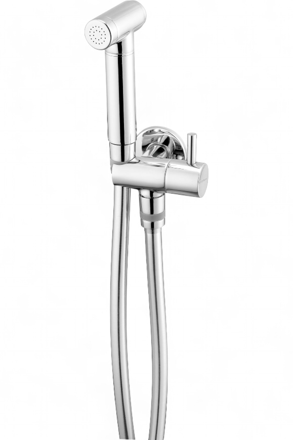 Hygienic Built-in WC Set Deante Bidetta in Chrome with 120 cm Hose