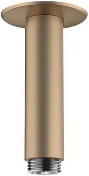Bras de douche plafonné Hansgrohe 100 mm avec rosace ronde en bronze brossé