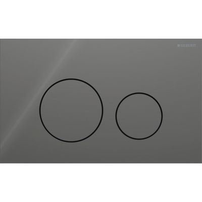 Geberit Sigma40 Flush Plate / Velvet Gray
