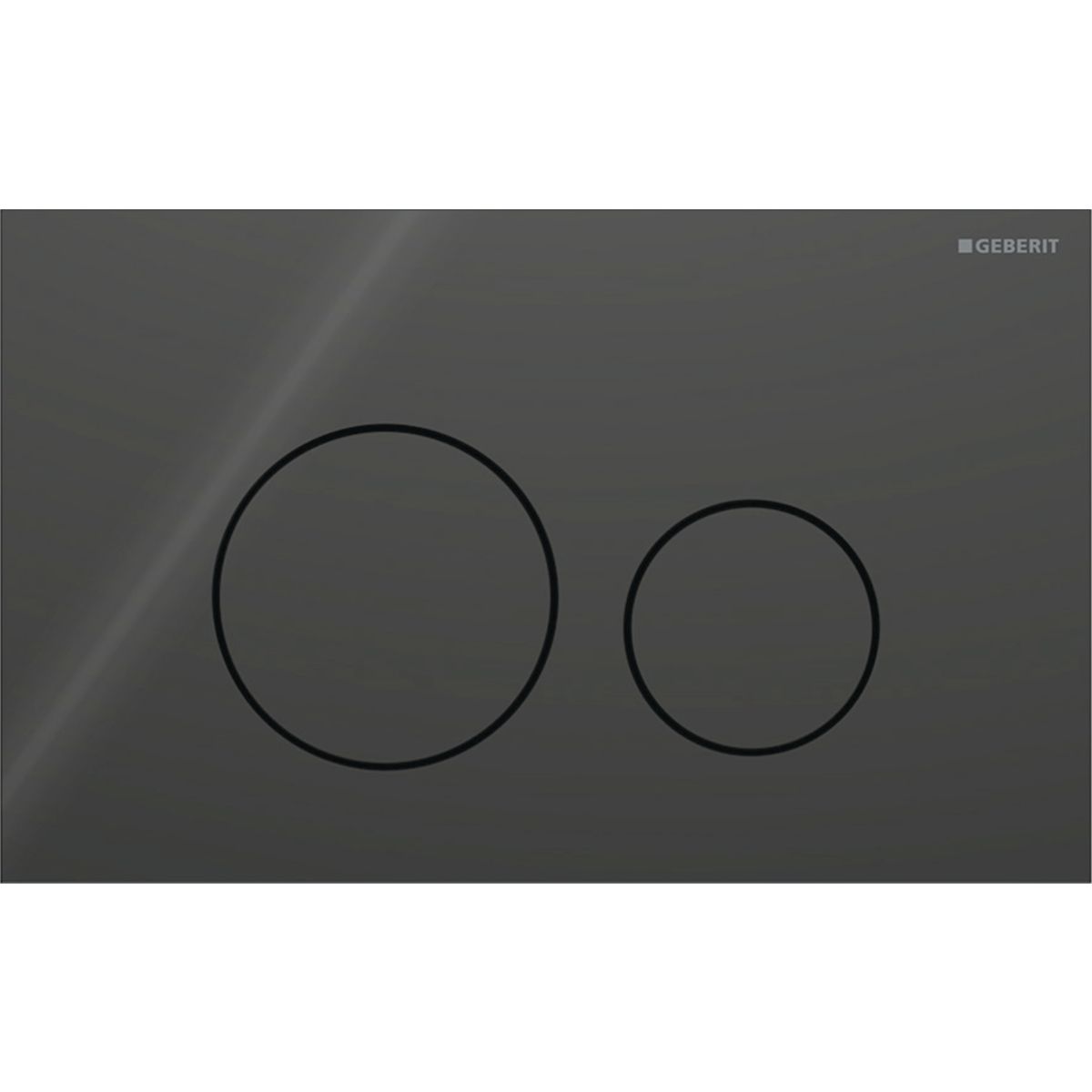 Geberit Sigma40 Flush Plate / Black
