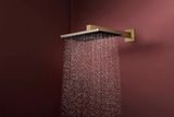 Raindance Alive Q Douche de tête 210/340 2jet avec bras de douche 390 mm