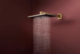 Raindance Alive Q Douche de tête 210/340 2jet avec bras de douche 390 mm