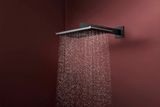Raindance Alive Q Douche de tête 210/340 2jet avec bras de douche 390 mm
