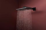 Raindance Alive Q Douche de tête 210/340 2jet avec bras de douche 390 mm