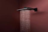 Raindance Alive Q Douche de tête 210/340 2jet avec bras de douche 390 mm