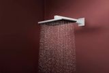Raindance Alive Q Douche de tête 210/340 2jet avec bras de douche 390 mm