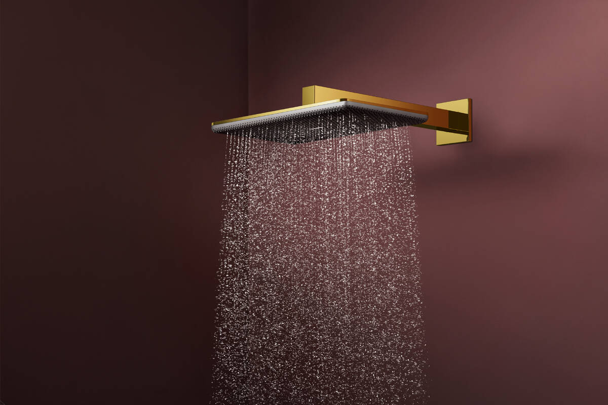 Douche de tête Hansgrohe Raindance Alive Q 340 2 jets avec bras de douche en doré poli - vue 2