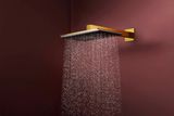 Raindance Alive Q Douche de tête 210/340 2jet avec bras de douche 390 mm