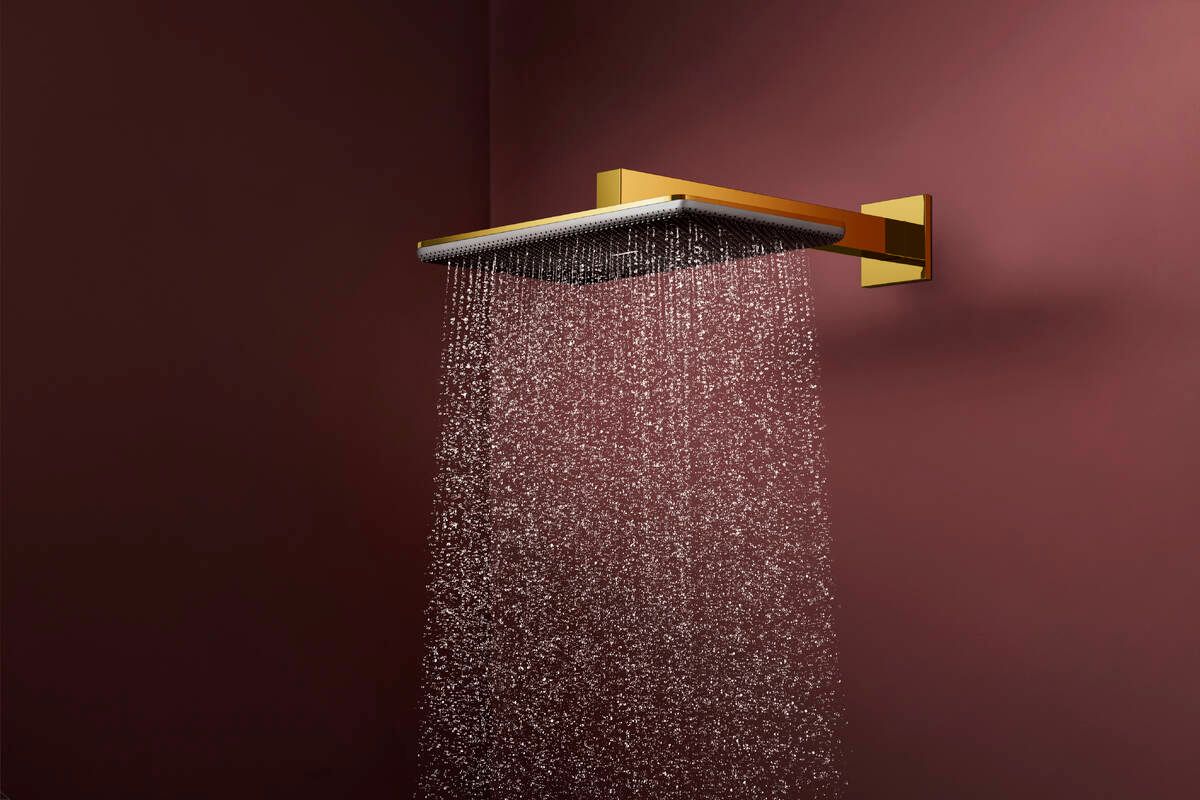Douche de tête Hansgrohe Raindance Alive Q 340 2 jets avec bras de douche en doré poli