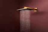 Raindance Alive Q Douche de tête 210/340 2jet avec bras de douche 390 mm