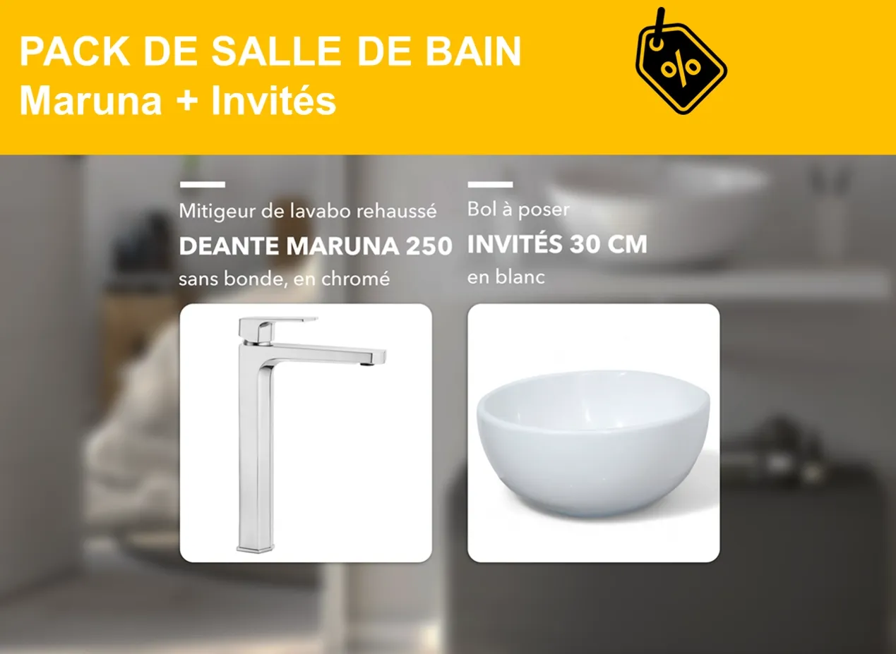 PACK : mitigeur de lavabo rehaussé Maruna et bol à poser Invités 30 cm