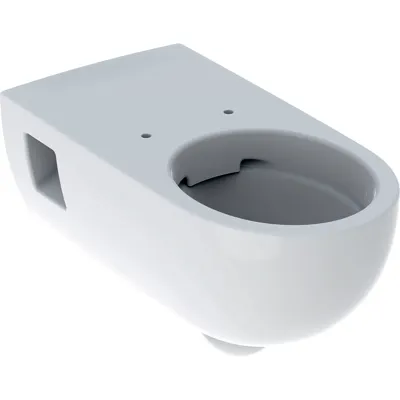 Cuvette suspendue à fond creux Geberit Selnova Comfort, rallongé, semi-carénée, Rimfree