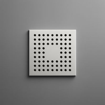 Grille plate Bluestone pour receveurs de douche Ardoise et Vulcanite en inox