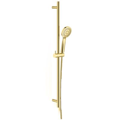Deante Arnika Shower Bar with 3-Function Hand Shower and Polished Gold PVD Hose