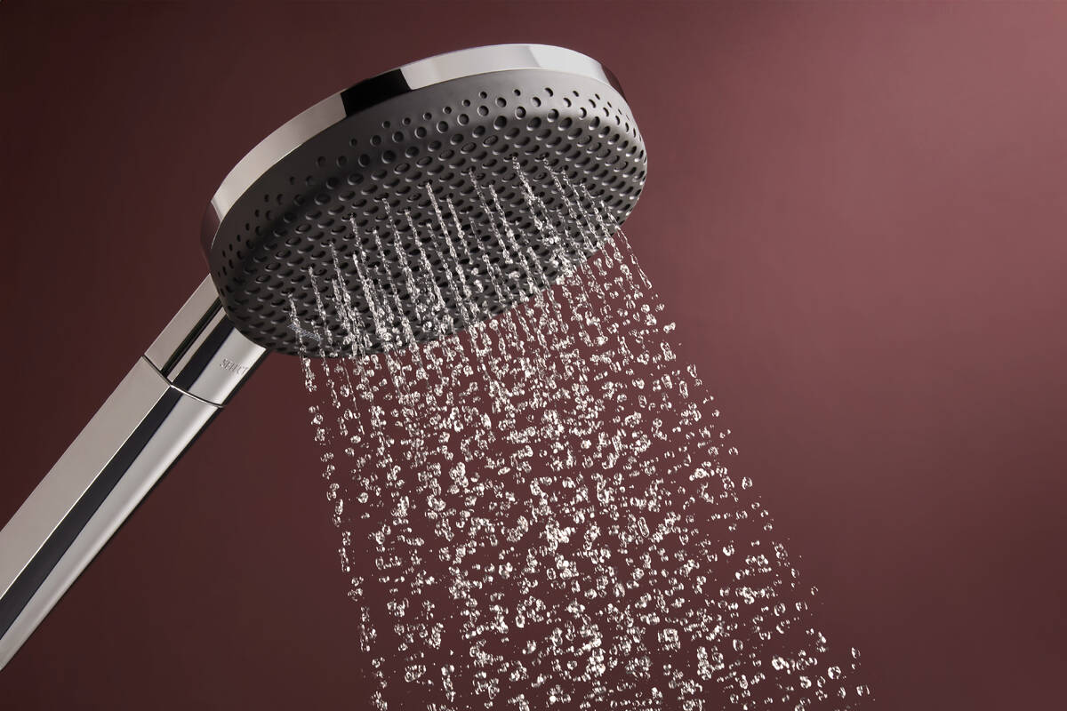 Douchette à main Hansgrohe Raindance Alive Select S 125 3 jets EcoSmart - vue 2