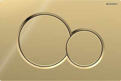 Geberit Sigma01 Round Flush Plate / Special Galvanized Brass