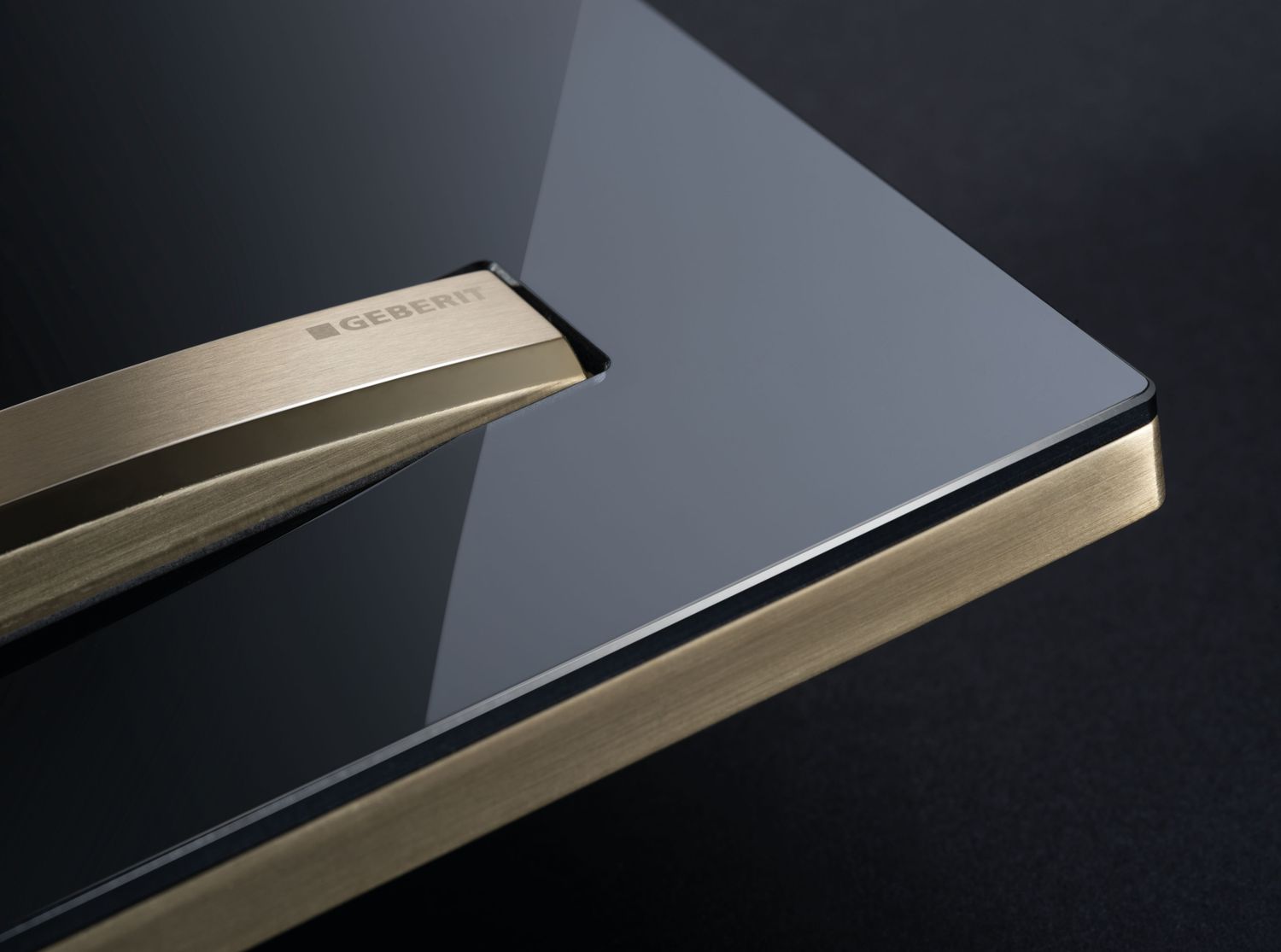 Geberit Sigma50 Flush Plate / Black - Brass