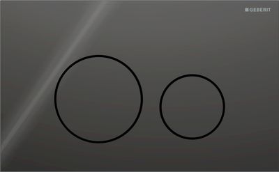 Geberit Sigma40 Flush Plate / Black