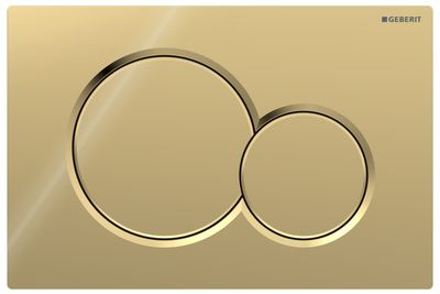 Geberit Sigma01 Round Flush Plate / Special Galvanized Brass